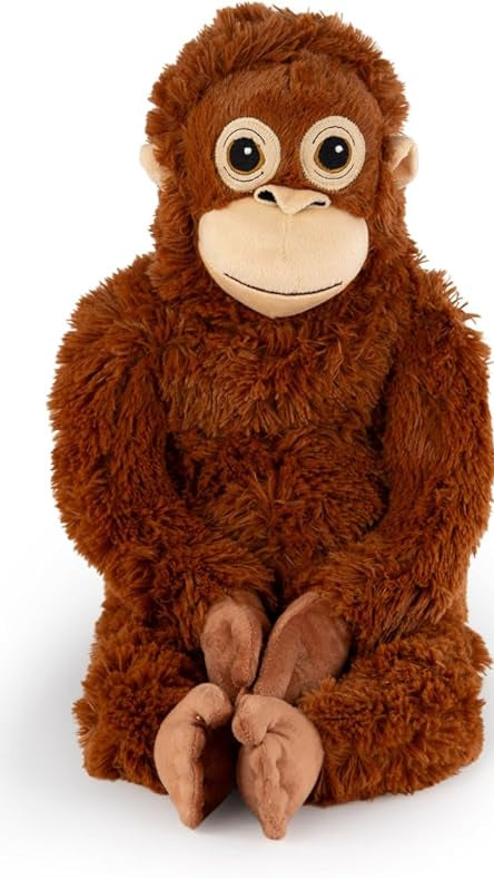 Punch’s Viral Comfort Orangutan
