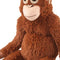 Punch’s Viral Comfort Orangutan