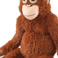 Punch’s Viral Comfort Orangutan